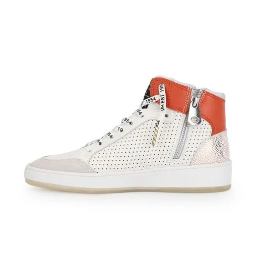 DREAM 13 - ORANGE MULTI