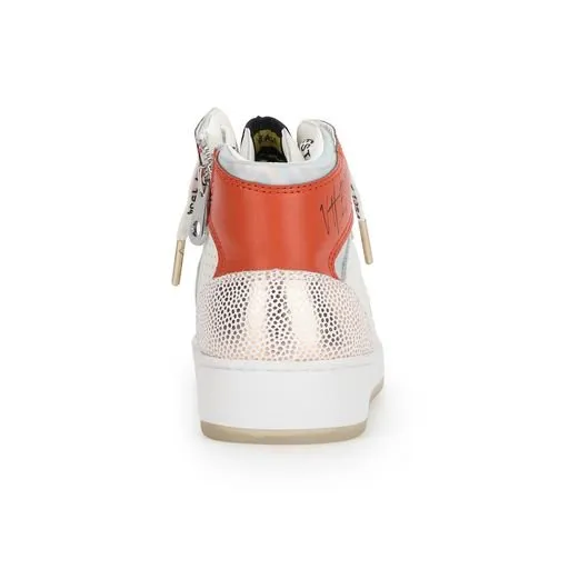 DREAM 13 - ORANGE MULTI